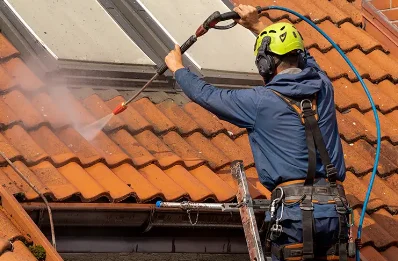Démoussage et hydrofuge de toiture à Férolles
